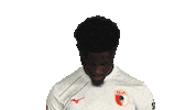 Look Up Fc Augsburg Sticker by Bundesliga