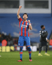 Premier League Win GIF by CPFC