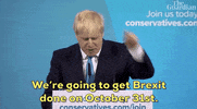 uk boris johnson prime minister jeremy hunt GIF
