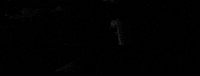 orson welles GIF