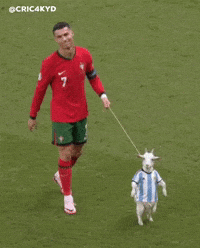 Cristiano Ronaldo Fifa GIF