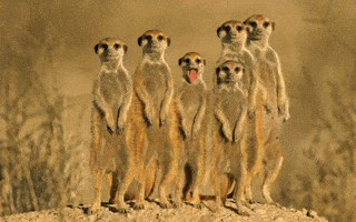 Dance Fun GIF by BlackPowderWorks