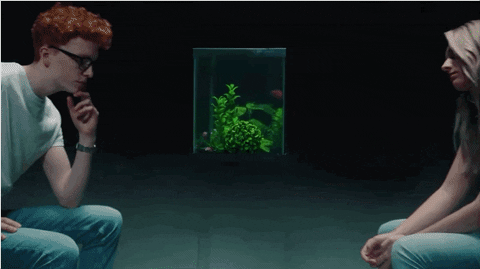 Love Songs Swimming GIF by Alec Wigdahl
