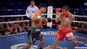 mikey garcia punch GIF by SHOWTIME Sports