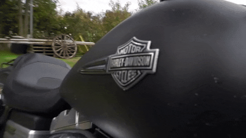 Riders_Point giphyupload motorcycle harley biker GIF