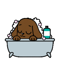 Happy Dog Sticker by MyMorningDog