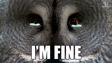 Sad Cry GIF by Honda