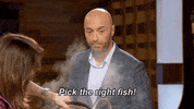 masterchef fox masterchef foxtv gordon ramsay GIF