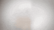 red friday fuck donald trump GIF by YG