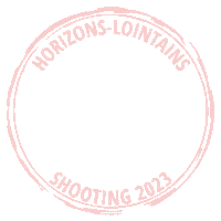 Travel Fly Sticker by Horizons Lointains