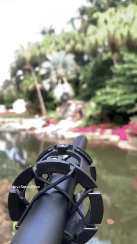 Field Recording of a Creek w a ShotGun Mic - Nova