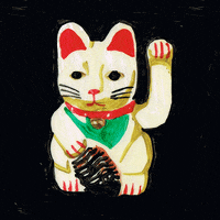Cat Japan GIF by Asuka