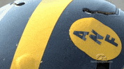hawkeye football GIF by University of Iowa Hawkeyes Athletics