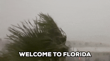 Strong Storms Lash Florida's Tampa Bay Region