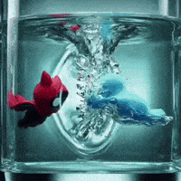 Fight Fighting GIF by G*BOY