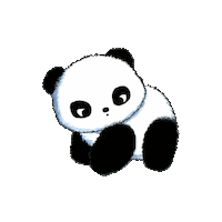 China Baby Sticker