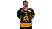 National League Hockey Sticker by HC Ajoie