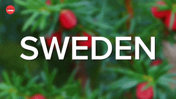 Christmas Sweden GIF by BuzzFeed