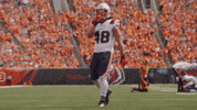 Football Nfl GIF by New England Patriots