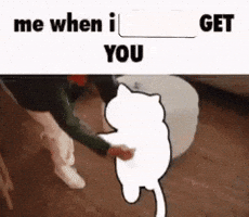 Neko Atsume Vr GIF
