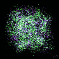 yizr art animation 3d trippy GIF