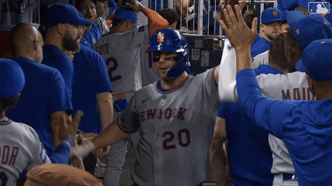 Celebrate Home Run GIF by New York Mets