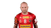 HandballAustria thumbs up ohb handball austria robert weber Sticker