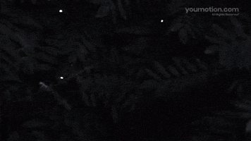 Joyful Alphabet Animation Pack Pack