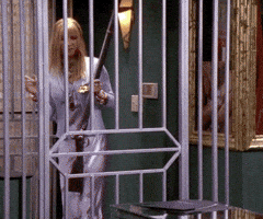 Season 6 Episode 623 GIF by Friends