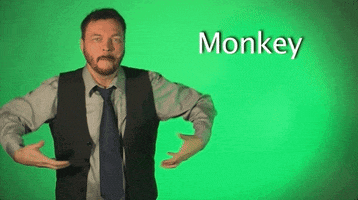 sign language monkey GIF by Sign with Robert