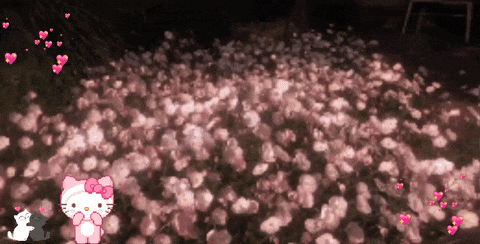 Forever Love Flowers GIF