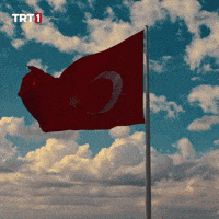 19 Mayıs Turkey GIF by TRT