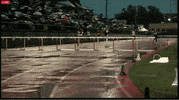 track and field running GIF by RunnerSpace.com