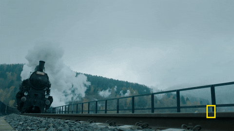 genius GIF by National Geographic Channel