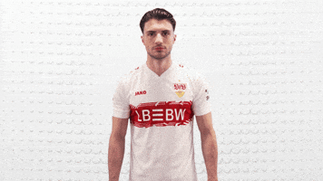 Vfb Stuttgart Yes GIF by Bundesliga