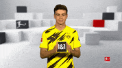 Football Thank You GIF by Bundesliga