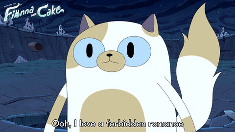 Adventure Time Fionna And Cake GIF by Cartoon Network