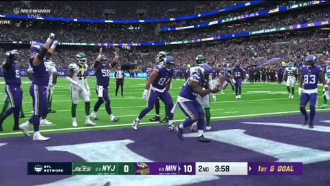 GIF by Minnesota Vikings