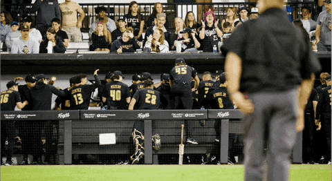 GIF by UCF Knights