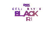 February Black History Month Sticker by HULU