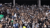 GIF by Botafogo