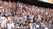 GIF by Botafogo