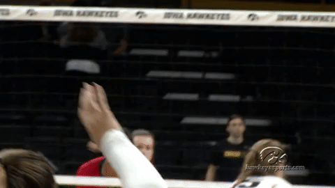 Iowa Hawkeyes Volleyball GIF by University of Iowa Hawkeyes Athletics