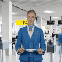 Cabin Crew Travel GIF by KLM
