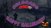 Halloween Pumpkin GIF by MyxedUp