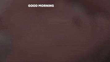 Good Morning Reaction GIF by Lauren Jenkins
