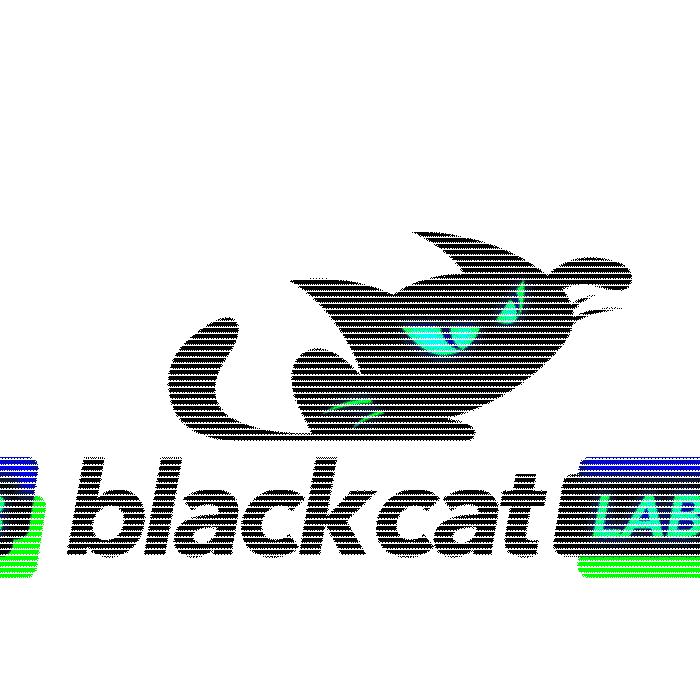 BlackCatLab giphyupload cat glitch black Sticker