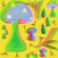 Magic Mushrooms Shrooms GIF by Daisy Lemon
