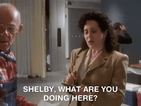 the mystery files of shelby woo nicksplat GIF