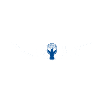 Wings Pilot Sticker by Asteca
